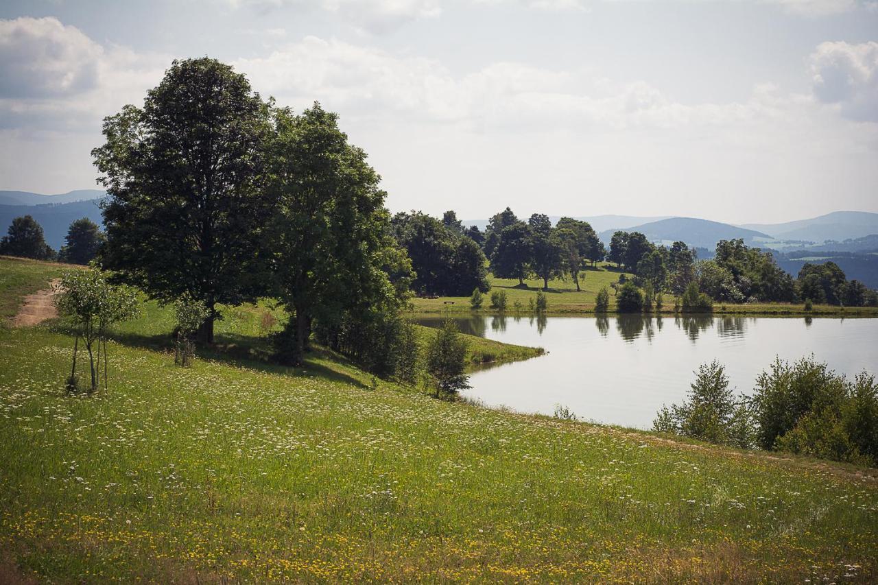 Penzion U Skoly Stare Mesto  Exterior photo