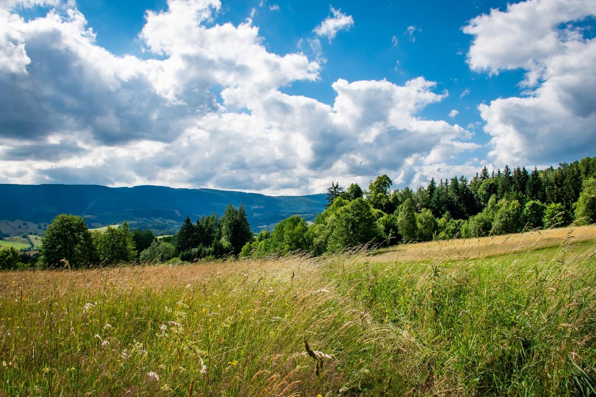 Penzion U Skoly Stare Mesto  Exterior photo
